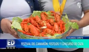 Festival del camarón en Cañete: gastronomía, concursos, festejos y más