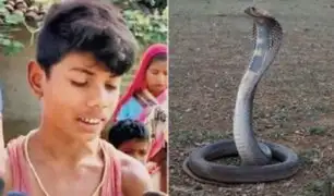 La mató a mordiscos: niño de 8 años se defendió de una serpiente que lo había atacado