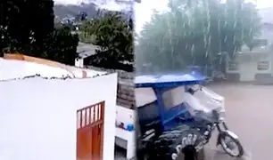 Vientos huracanados dejan varias casas sin techo y arrancan árboles en Tingo María