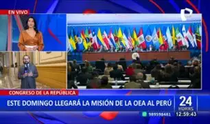 Congresistas cuestionan que Misión de la OEA no tenga planeado reunirse con fiscal de la Nación