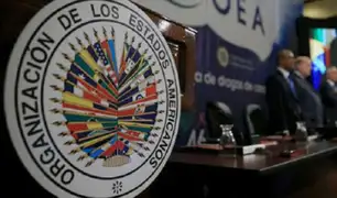 Misión de la OEA llega hoy a Lima: Delegación internacional analizará situación del país