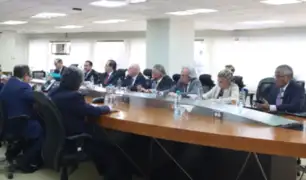 Tribunal Constitucional se reunió con grupo de Alto Nivel de la OEA