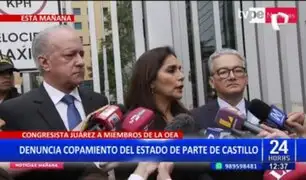 Patricia Juárez sobre reunión con Misión de la OEA: "Hemos solicitado absoluta imparcialidad"