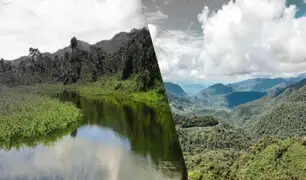 ProCiencia: Impacto climático y actividades del hombre estarían perjudicando los bosques alto-andinos del Perú
