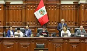 Pedro Castillo: otorgan plazo de 15 días a subcomisión para ver denuncia fiscal contra presidente