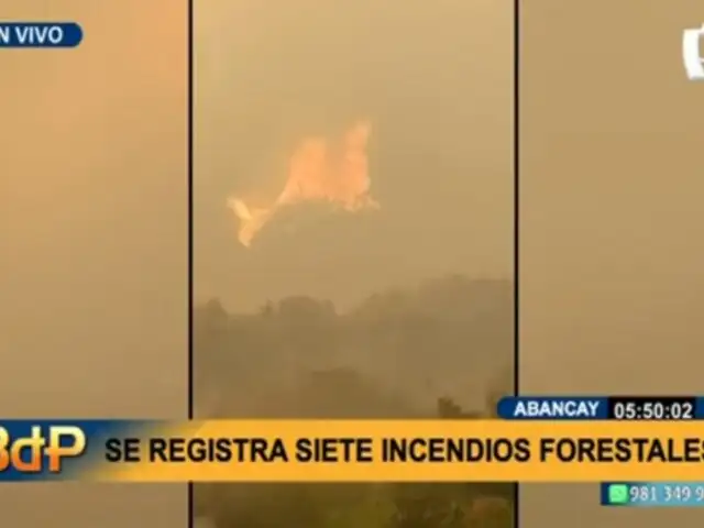 Incendios forestales en Abancay: autoridades, bomberos y pobladores trabajan en su extinción