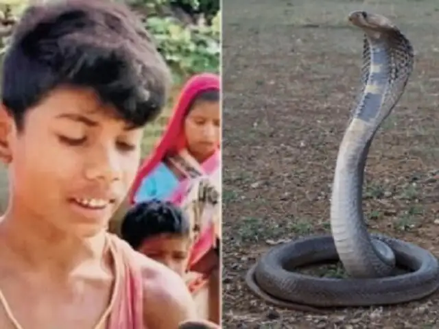 La mató a mordiscos: niño de 8 años se defendió de una serpiente que lo había atacado