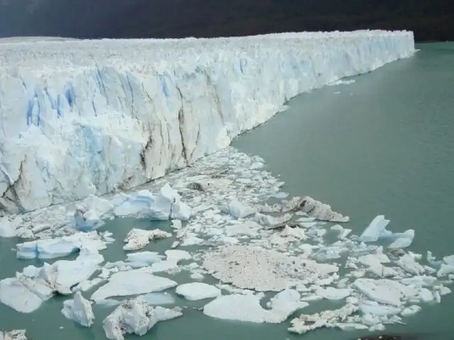 Deshielo de glaciares podría generar nueva pandemia tras liberación de miles de bacterias