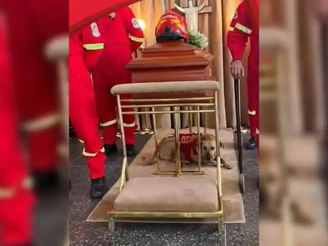 Ángel Torres: Perrito de bombero fallecido estuvo debajo de su féretro durante su velatorio