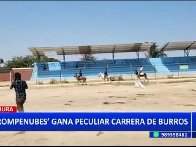 "Burrocross 2022": Realizan singular carrera de burros en Piura