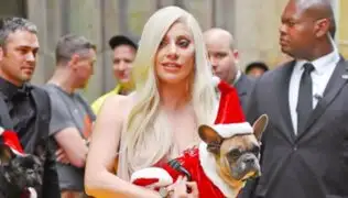 Lady Gaga: sentencian a 21 años de prisión a hombre que robó perros de la artista