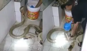 Insólito: Captan a joven bañando a su serpiente mascota
