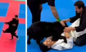 Perro interrumpe torneo de artes marciales para defender a su dueño y se hace viral