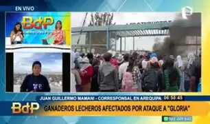 Planta de Gloria de Arequipa está inoperativa tras ataques: ganaderos lecheros afectados