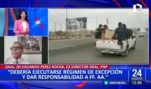 Pérez Rocha: "Debería ejecutarse régimen de excepción y darle la responsabilidad a las FF.AA."