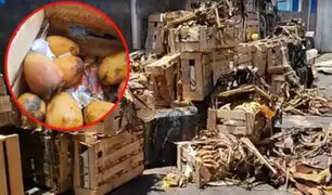 Comerciantes pierden miles de soles: frutas se malograron por bloqueo de vías en Arequipa
