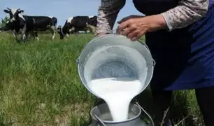 Arequipa: ganaderos lecheros rematan sus productos y estiman pérdidas de S/ 10 000 diarios