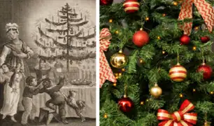 Conoce la historia del tradicional árbol de Navidad y sus coloridos adornos