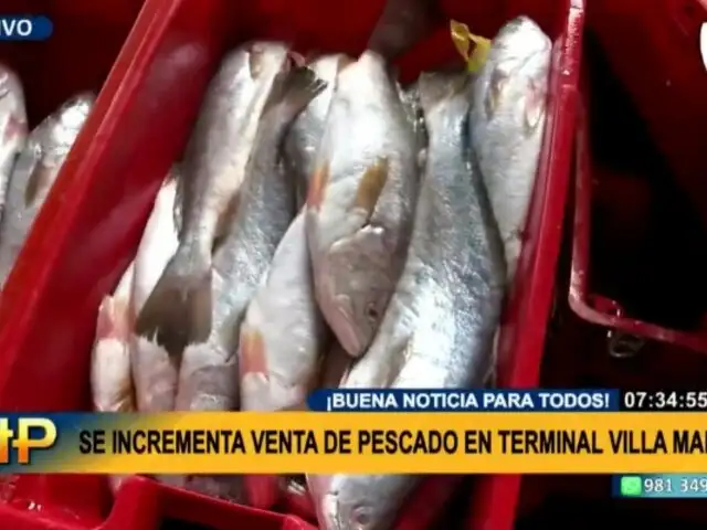 VMT: venta de pescado se incrementa en terminal pesquero