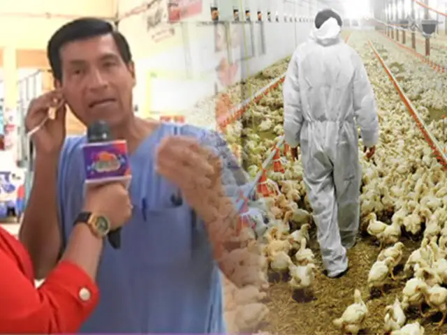 Marco Almerí sobre la influenza Aviar: El virus podría llegar a las granjas en el Perú