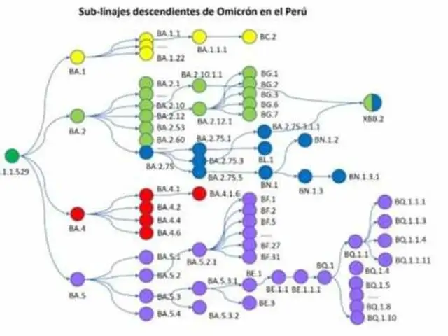 INS informa sobre la presencia de los linajes XBB, BQ.1, BQ.1.1, y DJ.1 relacionados con la variante ómicron
