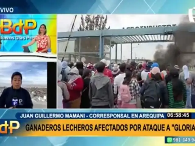 Planta de Gloria de Arequipa está inoperativa tras ataques: ganaderos lecheros afectados