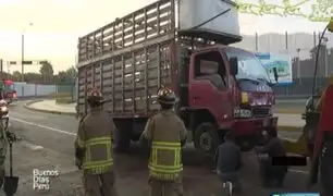 Camión que transportaba pollos sufre aparatoso accidente al dar vueltas de campana en Chorrillos