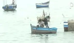 Chorrillos: Cierran muelle de pescadores tras oleaje anómalo