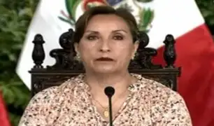 Dina Boluarte ante OEA: “No voy a rendirme ante grupos autoritarios que quieren imponer”