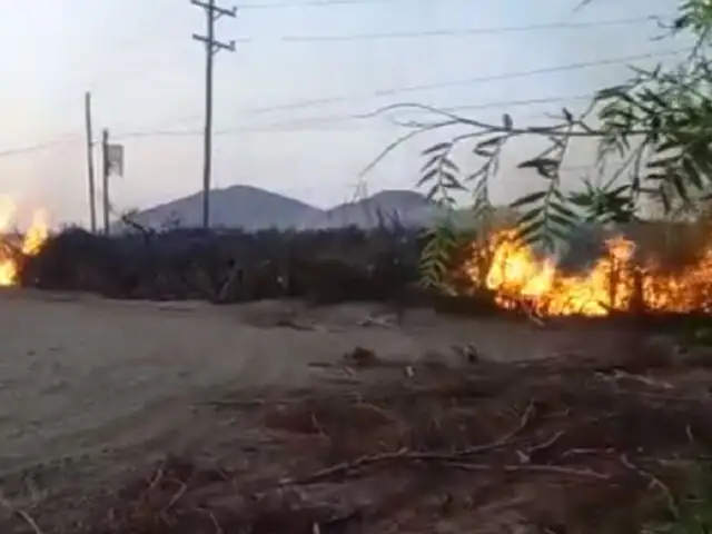 Golpearon y amenazaron a trabajadores: vándalos incendian y destruyen fundos agrícolas en Ica