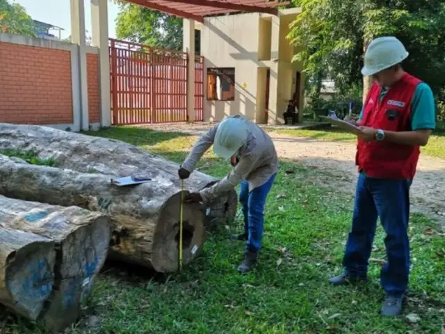 CITEforestal Pucallpa certificó a la primera promoción de cubicadores de madera