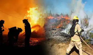Incendios forestales en Chile dejan al menos 22 muertos