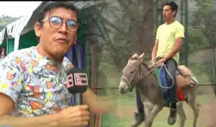 Asombrosa carrera de burros causa sensación en Piura