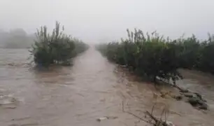 Desborde del río Pisco afecta casas y daña hectáreas de cultivo