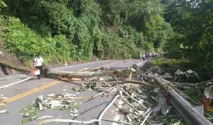 Alcalde de Tambopata afirma que aún hay vías bloqueadas que impiden llegar a Puerto Maldonado