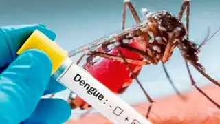 ¡Alarmante! Loreto registra más de seis mil casos de dengue: cuatro veces más que el año pasado