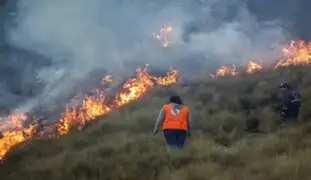 En los últimos 20 años se han incrementado los incendios forestales en el Perú, señala el IGP