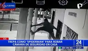 Al estilo de "Spiderman": Ladrón trepa pared para robar cámara de seguridad