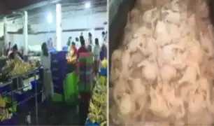 Ate: intervienen local de venta de pollos donde inflaban aves en estado de descomposición