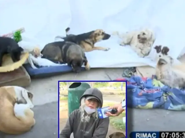 Vecinos incómodos con recicladora que ha tomado la vía pública con sus 16 perros