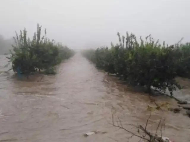 Desborde del río Pisco afecta casas y daña hectáreas de cultivo