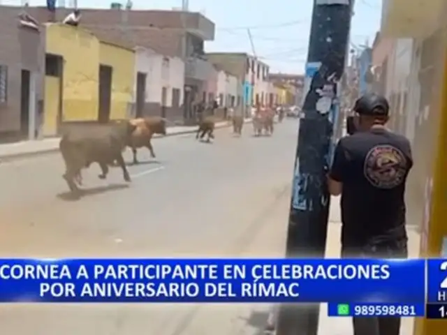 Sueltan toros en la calle por aniversario del Rímac: Un hombre resultó herido por cornada