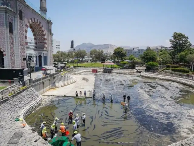 Parque de La Amistad viene siendo recuperado tras sufrir grave atentado ecológico