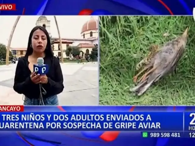 Gripe aviar: ponen en cuarentena a 3 niños que manipularon paloma presuntamente infectada en Junín