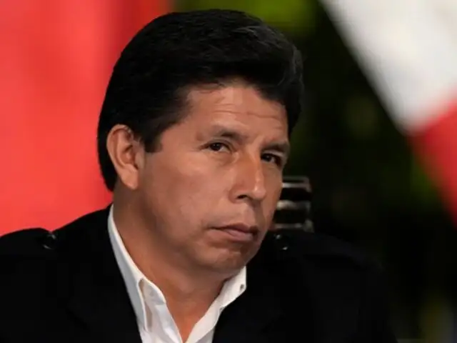 Pedro Castillo: Subcomisión cita a expresidente para la próxima semana