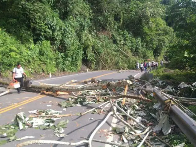 Alcalde de Tambopata afirma que aún hay vías bloqueadas que impiden llegar a Puerto Maldonado