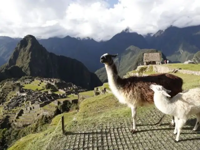 The Times: Machu Picchu y el Camino Inca son considerados destinos ideales para visitar en mayo