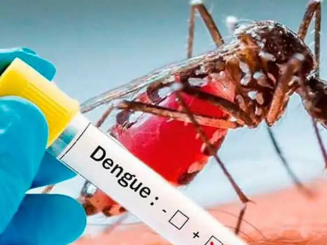 Alerta por dengue: Minsa declarará emergencia sanitaria en 13 regiones