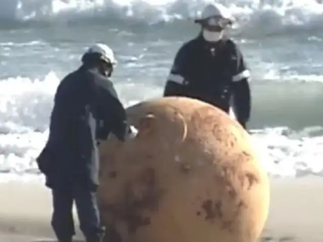 “Un huevo de Godzilla”: misteriosa bola de hierro aparece en playa de Japón