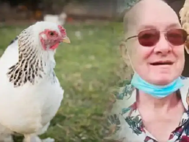 Hombre fallece tras ser atacado ferozmente por su gallina mascota